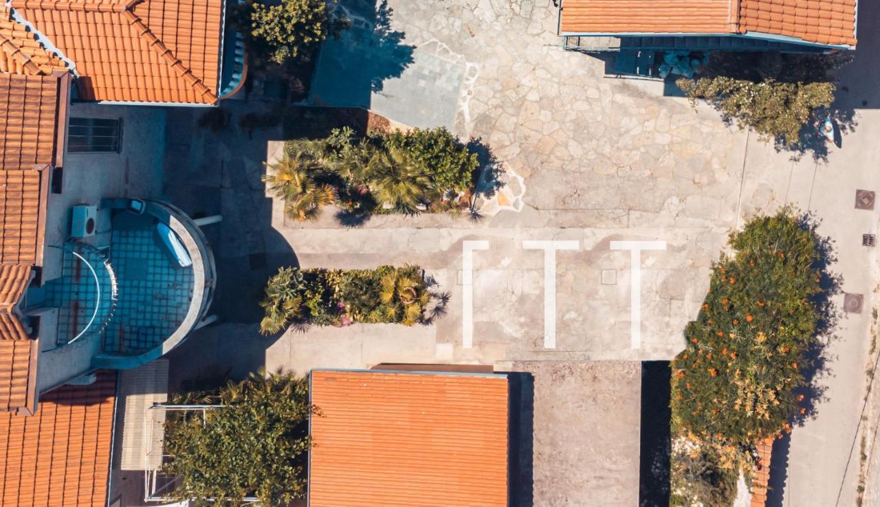 Eleonora * Zadar